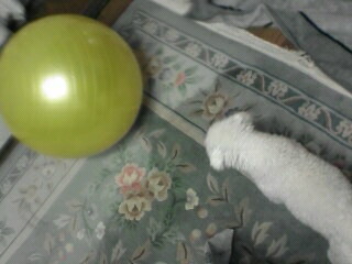 image/mattari3-2006-02-03T22:04:18-1.jpg